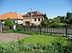 Třibřichy